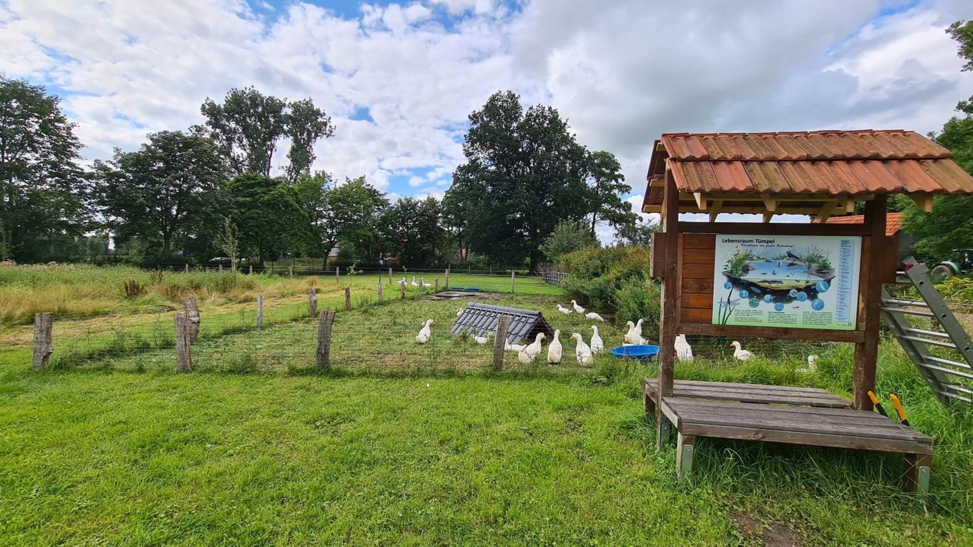 Naturhof Buschwiesen - Wohnung Lama Wilsum Buitenkant foto